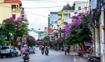Hải Phòng chấp thuận 3 doanh nghiệp thực hiện thí điểm nhà ở thương mại