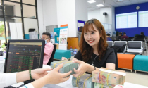 Chuyên gia chỉ báo nhóm cổ phiếu dẫn sóng quý II