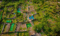 Hà Nội giao hơn 1,4 ha đất cho doanh nghiệp phát triển tổ hợp nhà ở thương mại