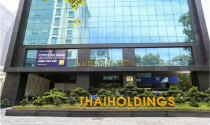 Cổ phiếu một công ty bất động sản tăng trần 4 phiên liên tiếp sau thông tin siêu dự án 128.000 tỷ tại Ninh Bình
