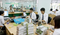 Ngân hàng phát triển hệ sinh thái, thu hút tiền gửi