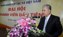Phó thống đốc NHNN Đặng Thanh Bình giữ chức chủ tịch VAMC