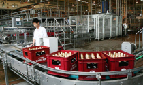 Chuyện sai phạm và chất lượng Bia Hà Nội