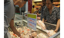 Việt Nam quyết tâm kiện đùi gà Mỹ