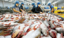 Thị trường Trung Mỹ, Trung Đông chưa “rộng cửa” cho hàng thủy sản