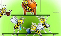 Hiệu ứng Hawthorne: Ông chủ nào cũng nên biết để biến nhân viên trở thành những "chú ong chăm chỉ"