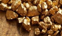 Công ty đào vàng bị đòi gần 200 tỷ USD thuế