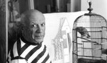 Câu chuyện sáng tạo mỗi ngày trong 71 năm của Picasso và cái giá của sự thành công