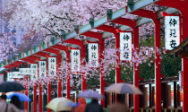 4 quan niệm của người Nhật Bản truyền cảm hứng cho cuộc sống thường ngày: Mọi thứ quá đẹp để lãng phí
