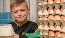 Cậu nhóc 8 tuổi mở doanh nghiệp bán trứng mong thành triệu phú