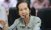 Bà Phạm Chi Lan: 'Doanh nghiệp tư nhân trong nước gần như… không có ưu đãi gì'