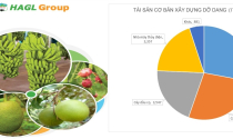 HAGL bán bớt tài sản để cấu trúc tài chính? HAGL bán bớt tài sản để cấu trúc tài chính?