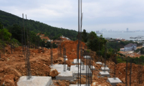 Ủy ban Quốc hội vào cuộc vụ quy hoạch bán đảo Sơn Trà, Đà Nẵng