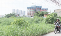 Hà Nội đề xuất cho sử dụng tạm thời đất “treo”