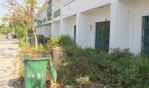 Chung cư Thạnh Mỹ Lợi (Q.2): Nhà xây để cỏ mọc