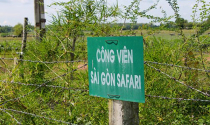 Bỏ hoang dự án ngàn tỷ Sài Gòn Safari