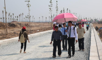 Về Long An tìm mua đất nền giá rẻ