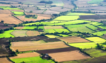 Giá đất nông nghiệp tại Anh đạt kỷ lục mới
