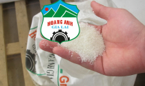 Cổ phiếu HAG và HNG vào diện cảnh báo