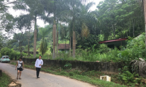 Hà Giang: Một thửa đất, Thành phố và huyện cấp trùng sổ đỏ