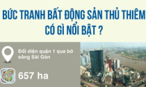 Bức tranh bất động sản Thủ Thiêm có gì nổi bật?