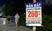 Giao dịch chuyển nhượng đất trái phép ở các đặc khu có xu hướng chững lại