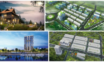Dự án trong tuần: Khởi công Hoàng Hải Complex và Ecotown Phú Mỹ - Ra mắt biệt thự Sapa Jade Hill