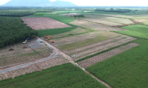 Rối rắm thu hồi đất ở hồ Dầu Tiếng: Yêu cầu huyện thanh tra việc cấp sổ đỏ