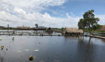 Ao sen sinh thái trên đảo ngọc Phú Quốc bị phân lô bán nền