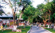 Đà Nẵng: Loạt dự án “rùa bò” bị đề nghị thu hồi để làm công viên