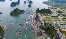 Khu đô thị hơn 2.700 tỉ đồng ở Quảng Ninh sẽ được chỉ định thầu