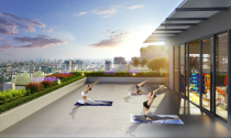 Tập yoga giữa không gian xanh trên đỉnh tòa nhà