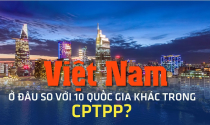 Việt Nam ở đâu so với 10 quốc gia khác trong CPTPP? Việt Nam ở đâu so với 10 quốc gia khác trong CPTPP?