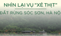 Infographic: Nhìn lại vụ 