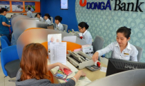 Ngân hàng Nhà nước chỉ định thành viên HĐQT DongA Bank Ngân hàng Nhà nước chỉ định thành viên HĐQT DongA Bank