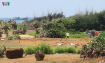 Giao dịch mua bán đất tại đảo Phú Quý diễn biến phức tạp