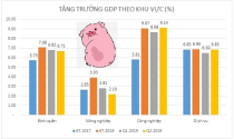 Dịch tả lợn kéo GDP quý 2 giảm tốc