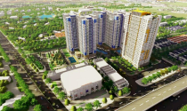 Xu hướng lập nghiệp ở TP.HCM, an cư ở Bình Dương của các cặp vợ chồng trẻ