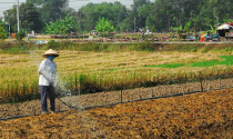 HoREA kiến nghị xem xét diện tích tối thiểu được tách thửa HoREA kiến nghị xem xét diện tích tối thiểu được tách thửa