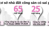 TP.HCM rà soát nhà đất công được bán, thuê không thông qua đấu giá giai đoạn 2016 - 2019