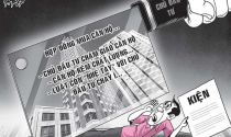 Trách nhiệm của chủ đầu tư trong quản lý, vận hành nhà chung cư
