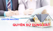 Người nước ngoài có được nhận chuyển nhượng quyền sử dụng đất tại Việt Nam?