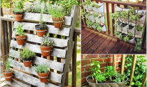 "Hô biến" ban công thành khu vườn mini