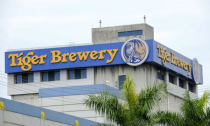 Heineken muốn thâu tóm toàn bộ hãng sản xuất bia Tiger