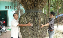 Giật mình với những cây cảnh giá bạc tỷ của đại gia Việt