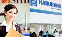 Thương hiệu Việt tan vỡ: Sự biến mất của Habubank