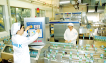 Xây dựng thương hiệu Việt: Chuyên nghiệp và đồng lòng