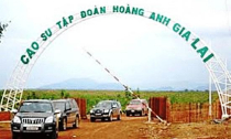 Kế hoạch nghìn tỉ của Hoàng Anh Gia Lai