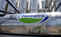 Scandal sữa nhiễm độc nhấn chìm cổ phiếu Fonterra