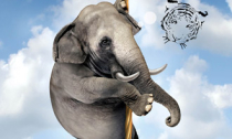 Liệu voi sẽ thành hổ?